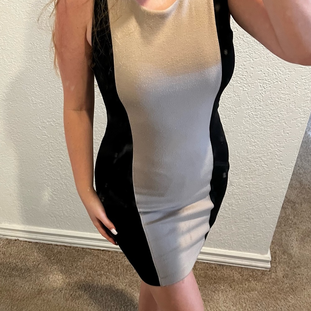Forever 21 Two Toned Dress